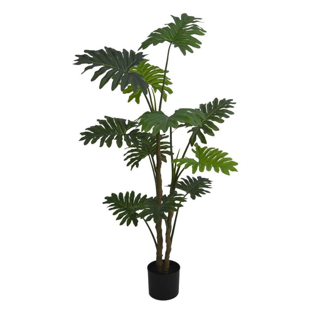 Philodendron Selloum XL 160 cm (incl. pot) UV