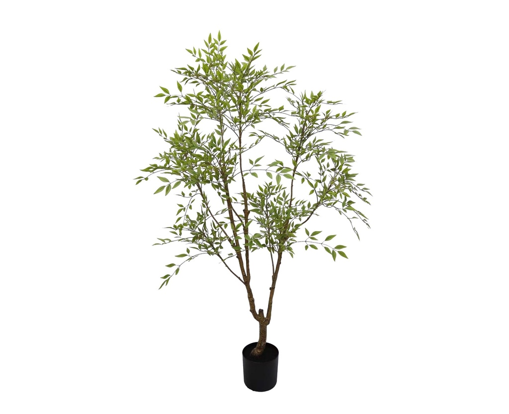 Rhus Wax Tree 180 cm (with pot) UV