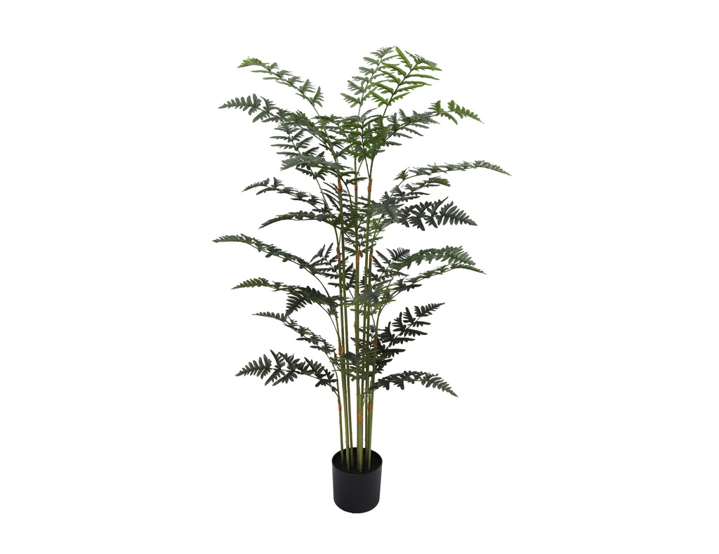 Fern Tree 150 cm (with pot) UV