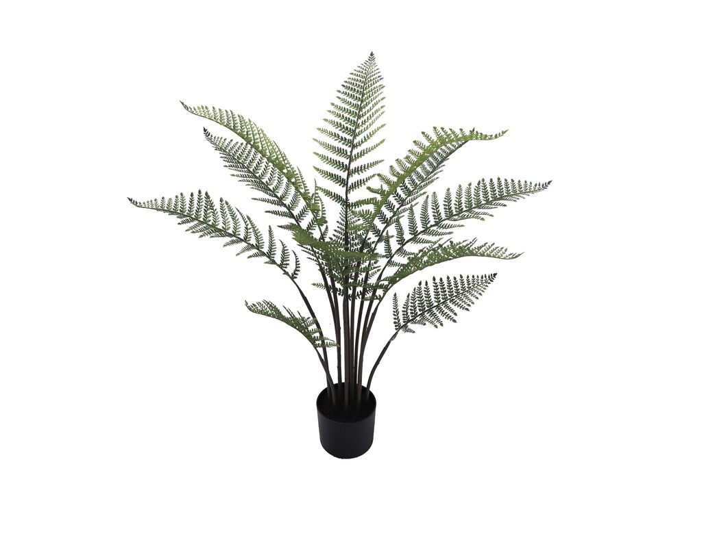 Persian Fern plant 90 cm (with pot) UV+FR