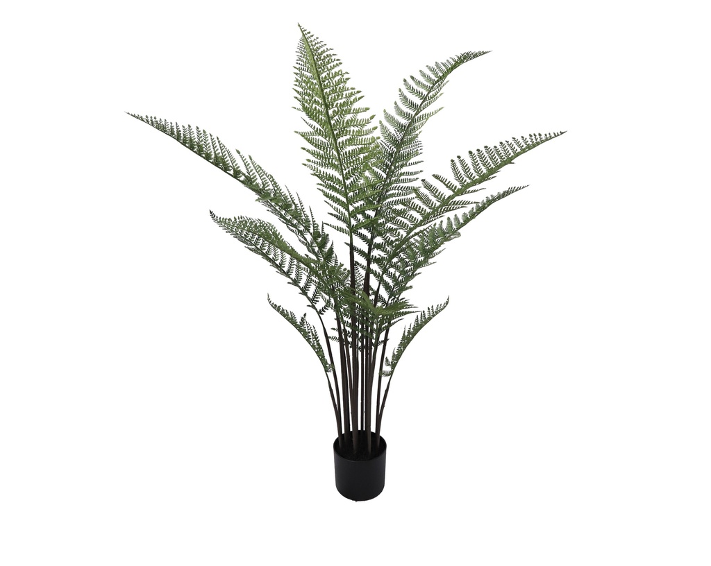 Persian Fern plant 120 cm (with pot) UV+FR
