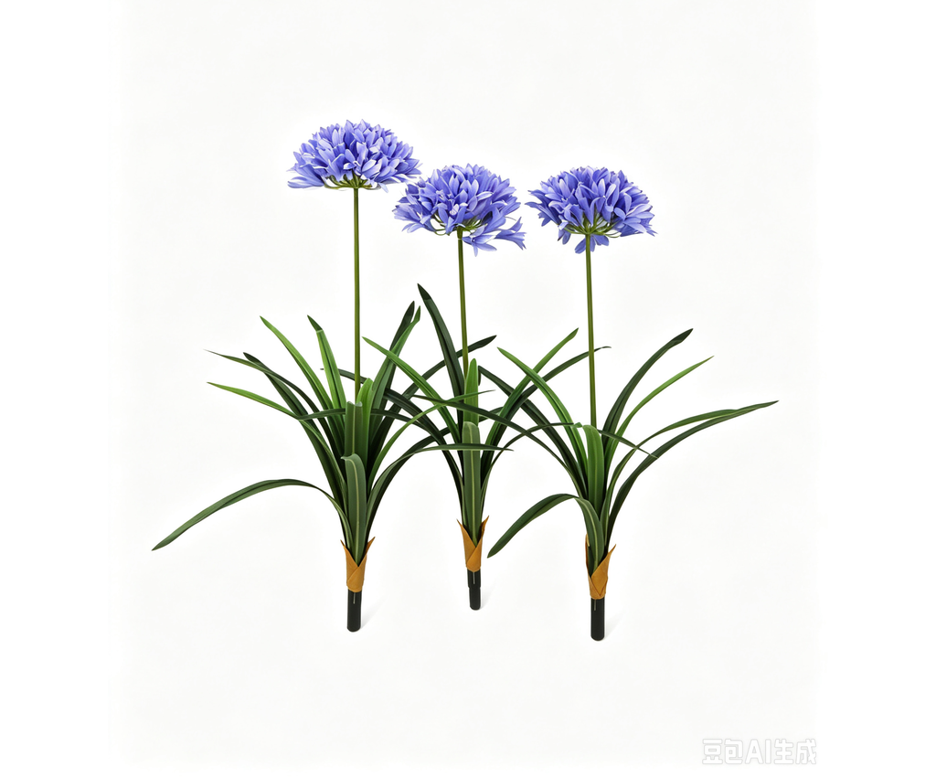 Agapanthus blue 85 cm (set of 3) UV