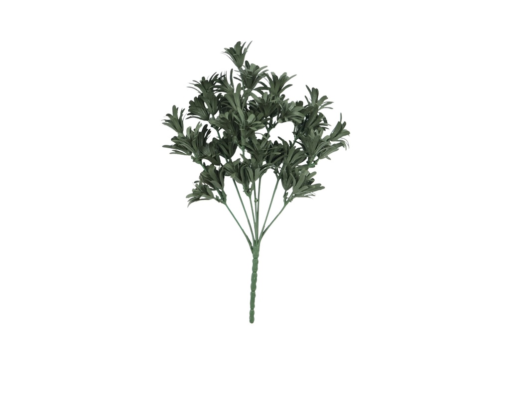 Sedum olive grey 30 cm UV+FR