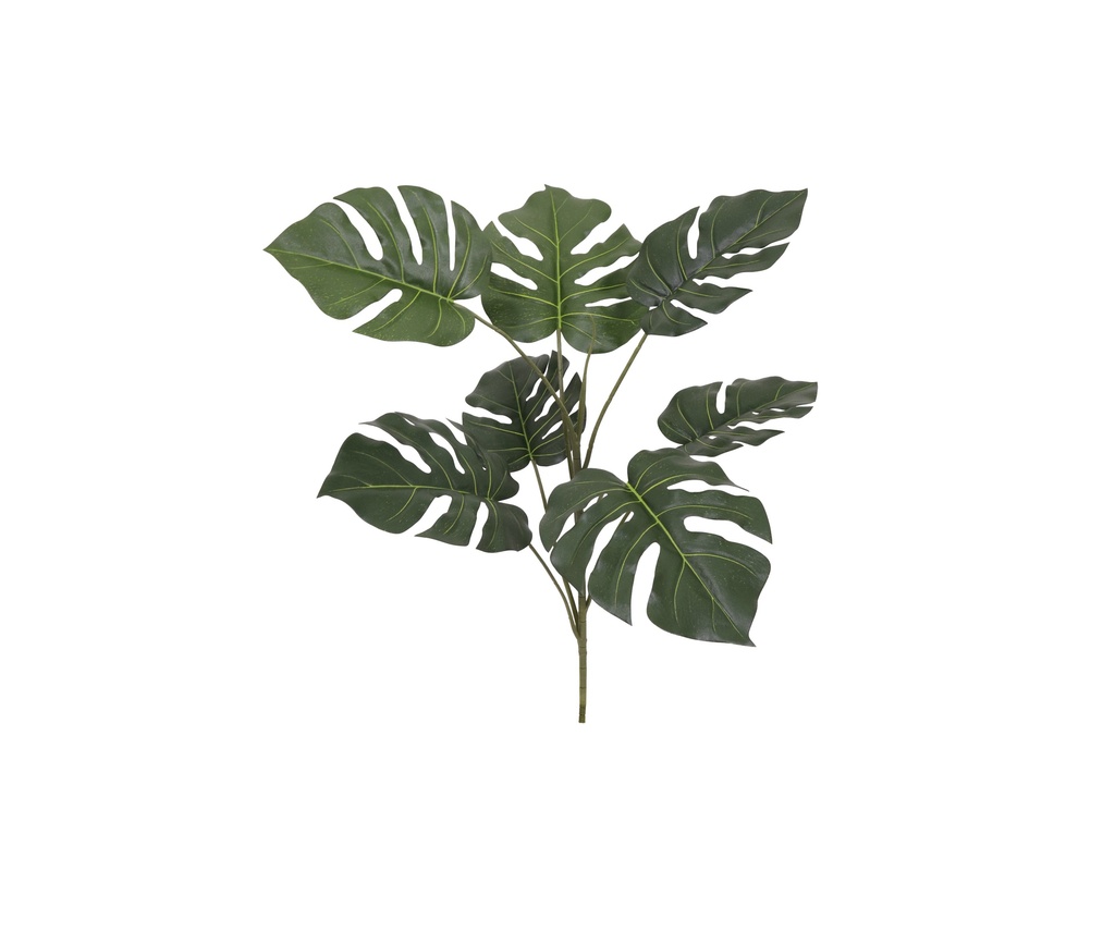 Monstera Deliciosa 78 cm UV+FR