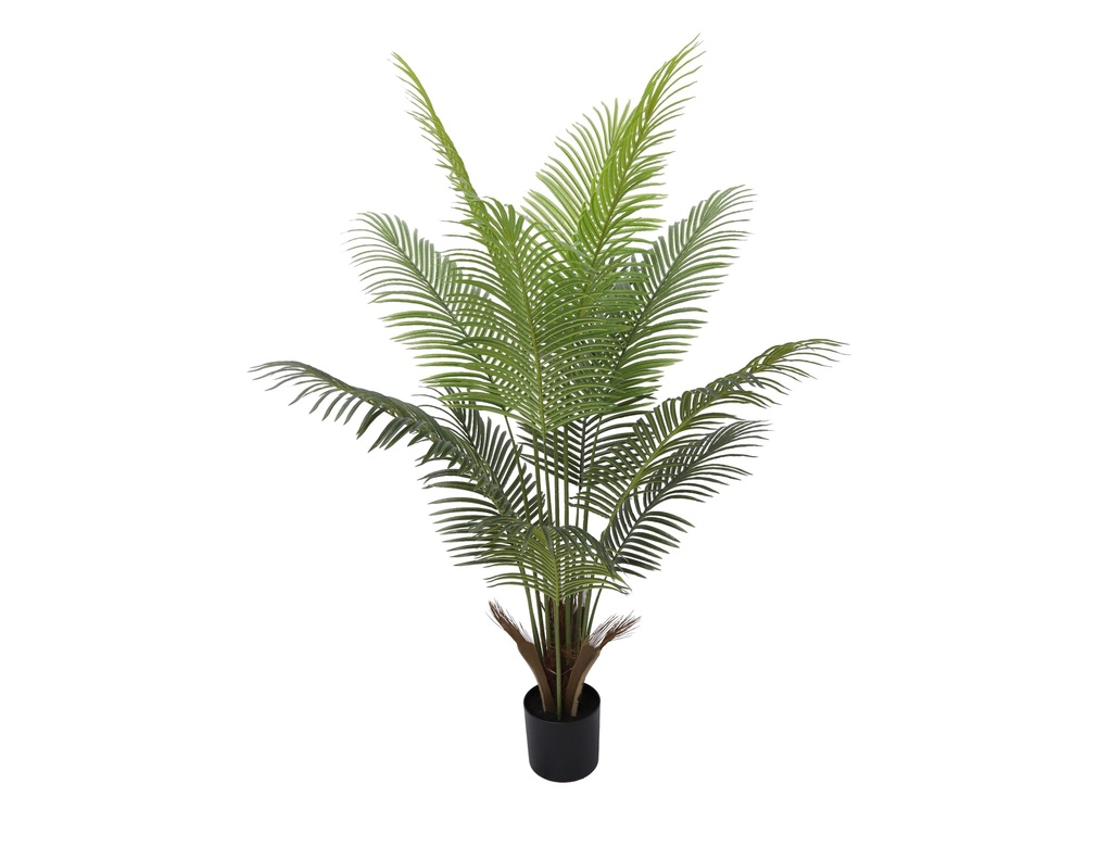 Phoenix Palm 160 cm (with pot) UV