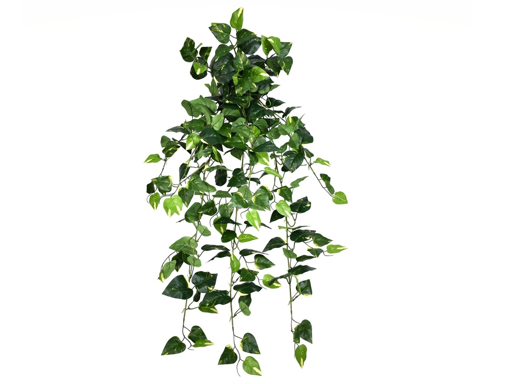 Golden Pothos 95 cm UV+FR