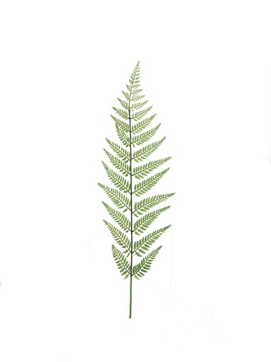 [JVE0008] Tasselfern 85 cm (bladtak)