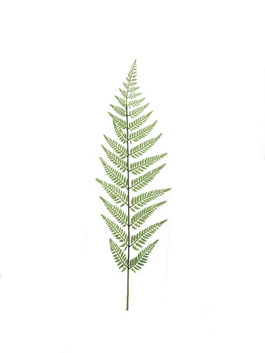 [JVE0008] Tasselfern 85 cm (spray)