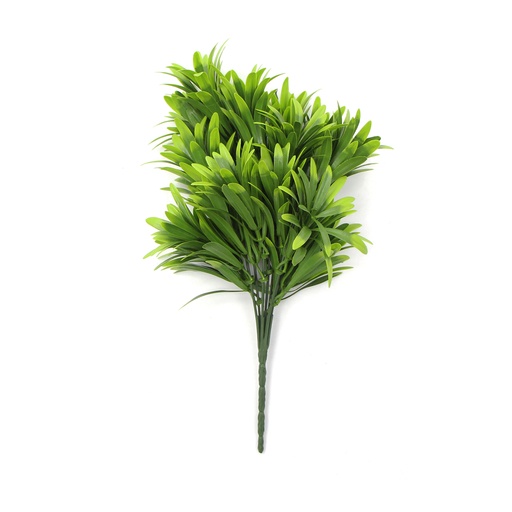 Podocarpus 30 cm UV+IFR