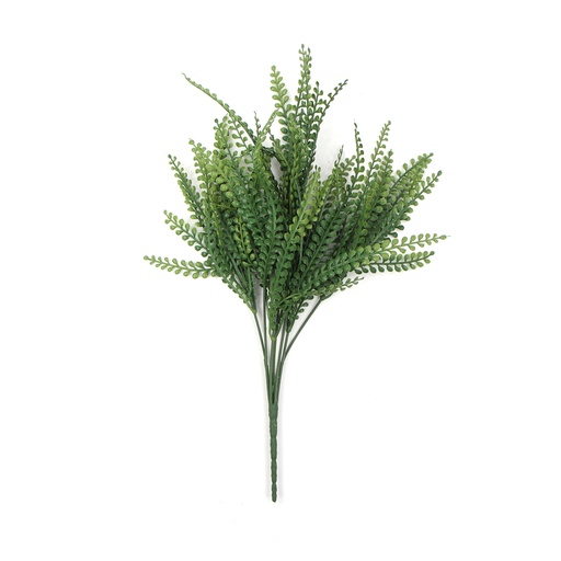 Virginia Pepperweed 33 cm UV+IFR