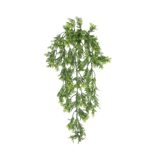 [JVE0025] Buxus trail 60 cm UV+FR (copy)