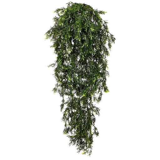 [JVE0029] Hedyotis trail XL 80 cm