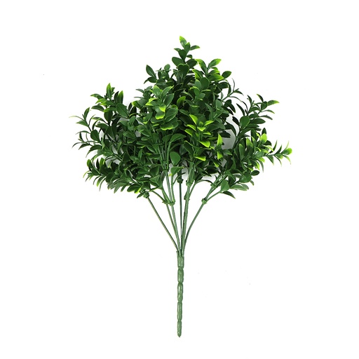 Summer Buxus bush 30 cm UV+IFR