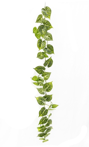 [JVE0040] Anthurium Clarinervium garland 180 cm