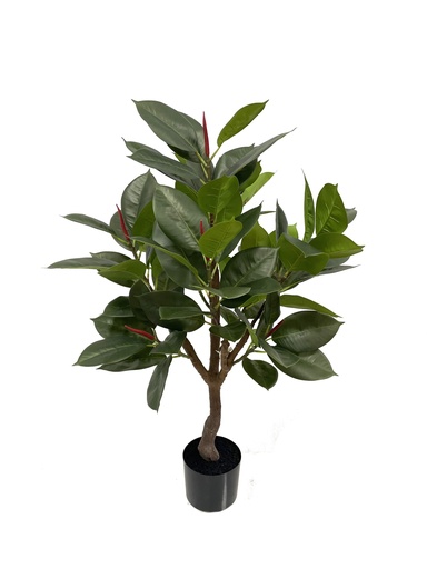 [JVE0043] Ficus Robusta 95 cm (incl pot)