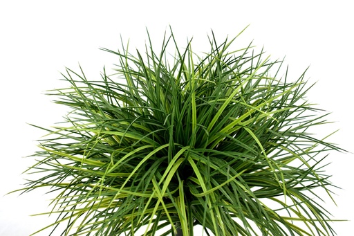 [JVE0050] Wheatgrass ball ⌀ 50 cm UV+FR