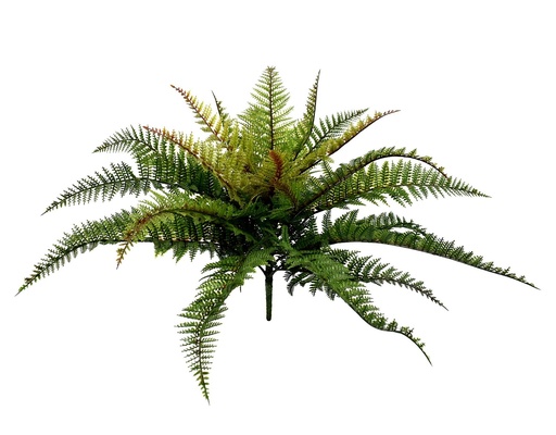 [JVE0055] Boston Fern 48 cm UV+FR