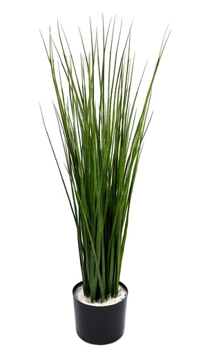 [JVE0057] Cane grass 90 cm (incl. pot ⌀ 15 cm) UV+FR