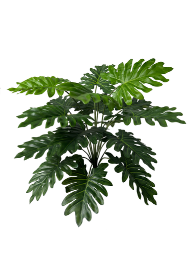 [JVE0067] Syngonium plant 40 cm UV+FR (copy)