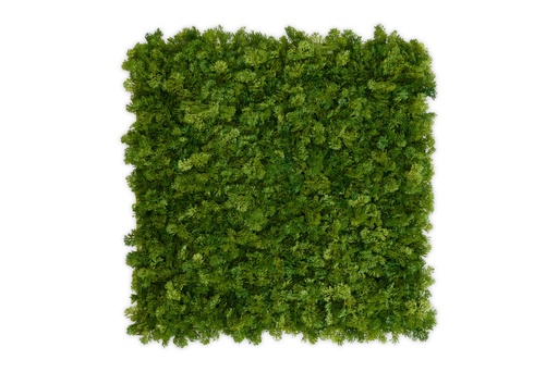 [JVM002-50] MOSS Emerald Green 50x50 cm UV+FR