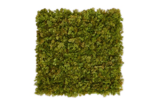 [JVM001-50] MOSS Lime Green 50x50 cm UV+FR