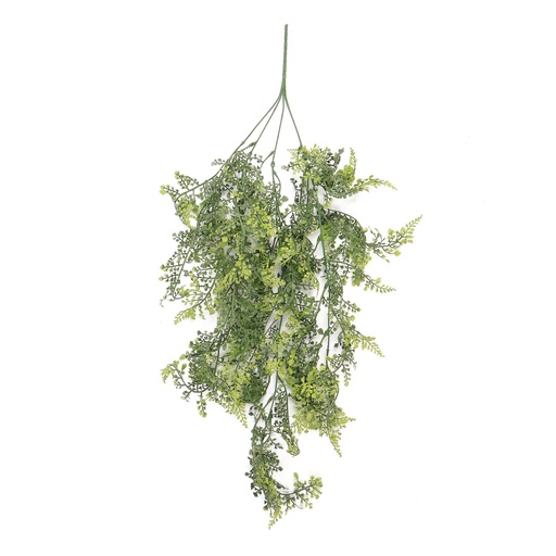 [JVE0077] Asplenium Fern trail 60 cm UV+FR