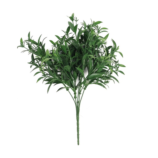Dianthus donkergroen 30 cm UV+IFR