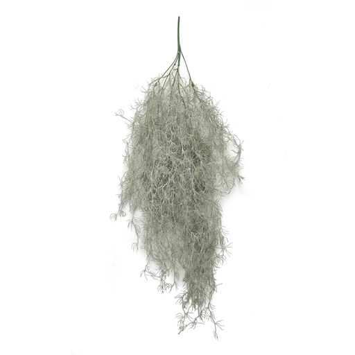 [JVE0069] Tillandsia Usneoides XL 90 cm UV+FR