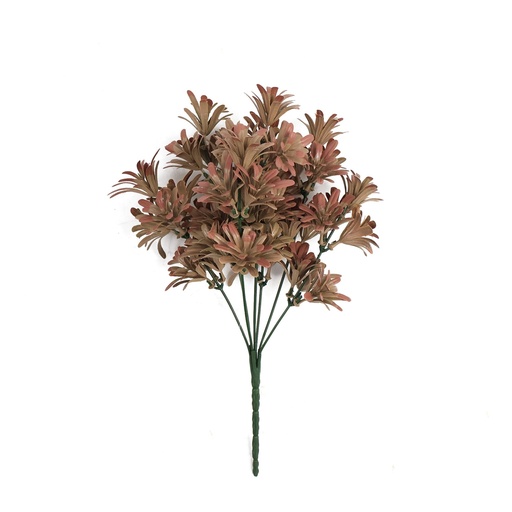 Sedum dusty pink 25 cm UV+IFR