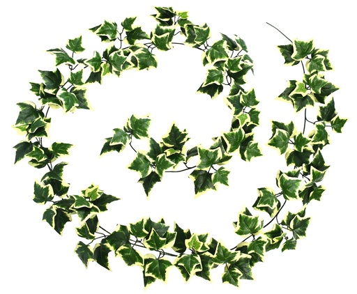 [JVE0090] Hedera (Lierre) Helix guirlande dusty green 270 cm UV+FR