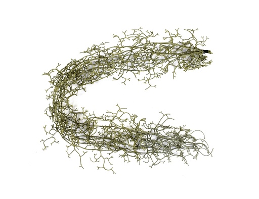 [JVE0098] Tillandsia garland 100 cm UV+FR