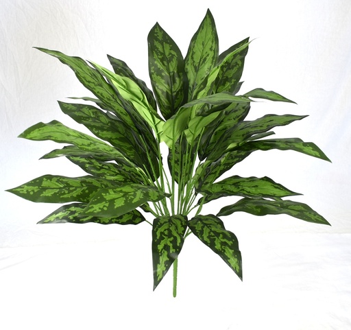 Silver King XL 70 cm IFR