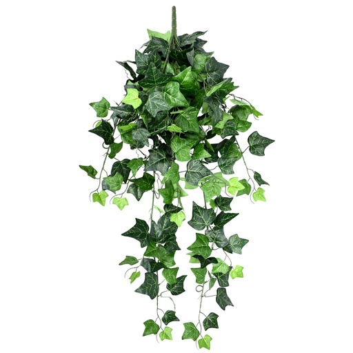 [JVE0088] Hedera (Lierre) Helix 95 cm UV+FR