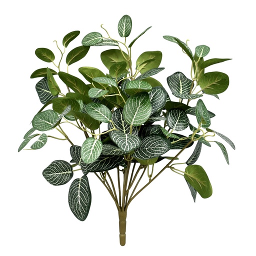 [JVE0106] Fittonia bush 45 cm UV+FR