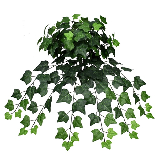 [JVE0108] Hedera Helix 60 cm UV+FR