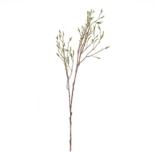 [JVE0136] Birch berry spray 100 cm