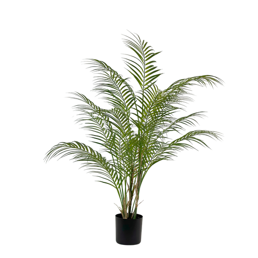 Areca Palm 90 cm (with pot)
