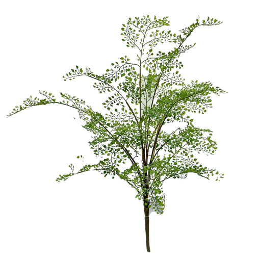 [JVE0113] Adiantum Fern plant 75 cm