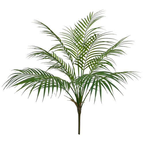 [JVE0114] Areca Palm 70 cm FR
