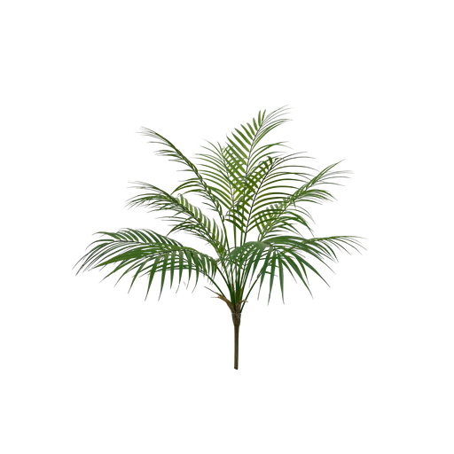 [JVE0114] Areca Palm 70 cm FR