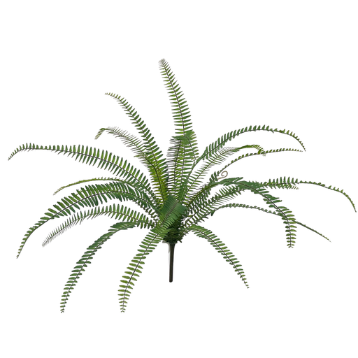 [JVE0115] Sword Fern 70 cm