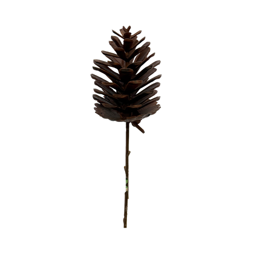 [JVE0127] Pomme de pin (brun clair) 5*6 cm