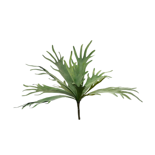 [JVE0121] Hertshoorn 50 cm FR