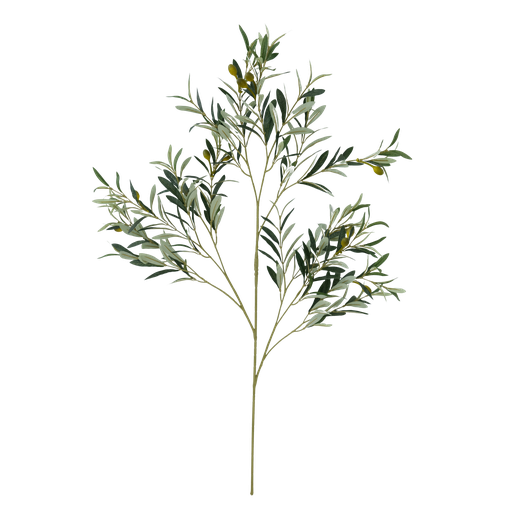 [JVE0122] Olive spray XL 105 cm