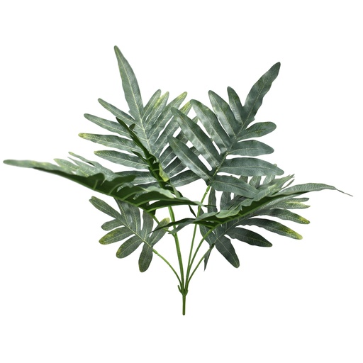 [JVE0145] Phlebodium Aureum 70 cm UV+FR