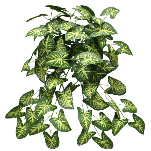 [JVE0151] Syngonium bush 40 cm UV+FR