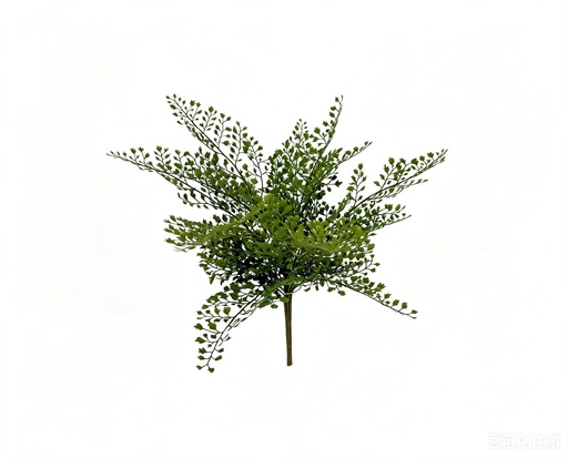 [JVE0176] Adiantum Fern bush 35 cm FR