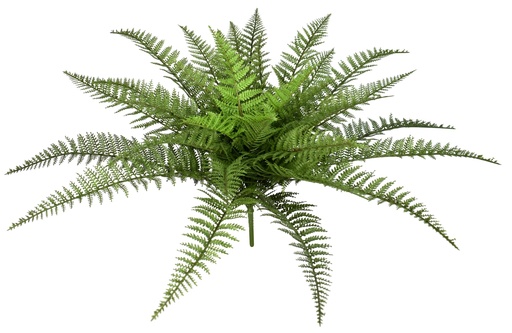 [JVE0182] Boston Fern XL 60 cm UV+FR