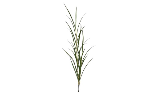 [JVE0183] Cane grass 65-90-120 cm (set of 6)