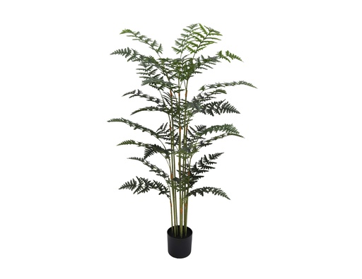 [JVE0190] Fern Tree 150 cm (with pot) UV